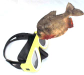 Escritos del número 68