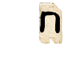 panfletonegro